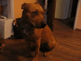 output.gif image by blt54321